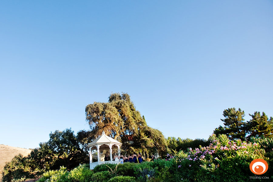StellaSantosW_12.jpg